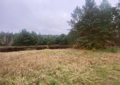działka na sprzedaż - Obrowo, Silno, Stanisława Barei