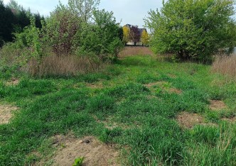 działka na sprzedaż - Łysomice, Papowo Toruńskie, Osieki, Kopernika