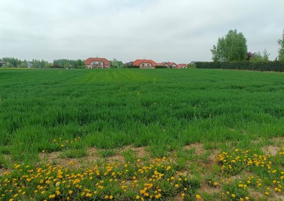 działka na sprzedaż - Łysomice, Różankowo, Bazaltowa