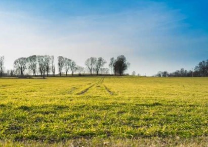 działka na sprzedaż - Łysomice, Różankowo