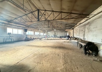 hala na wynajem - Lubicz, Lubicz Dolny