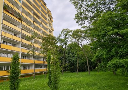 mieszkanie na sprzedaż - Toruń, Rubinkowo, Dziewulskiego