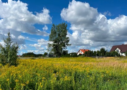 działka na sprzedaż - Obrowo, Głogowo, Osikowa
